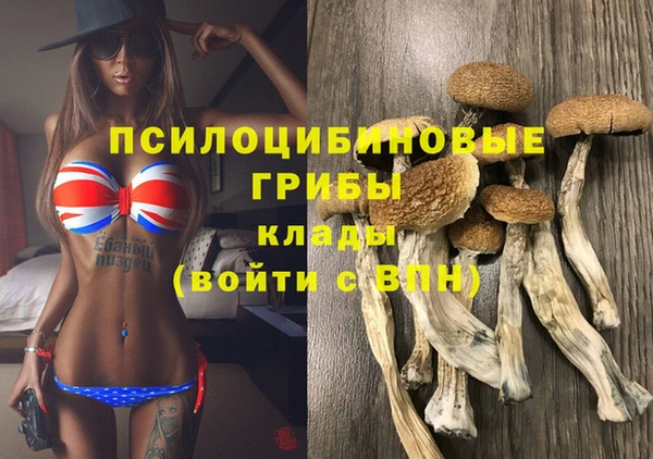 ALPHA-PVP Алексин
