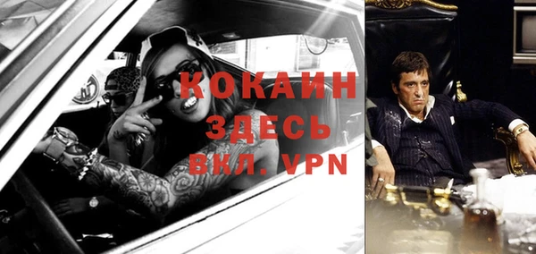 гидра Алексеевка